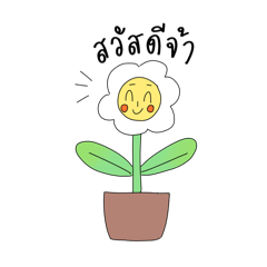 Smiley white flower