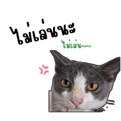 Pakawadee_20240531220148