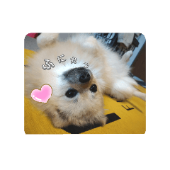 michiko_20240531232536