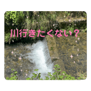 mashumaro_20240601142326