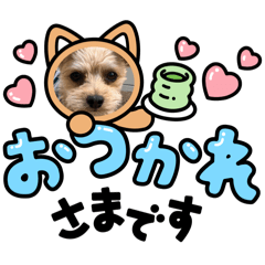 momari_20240531224521