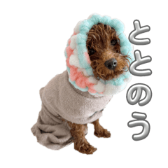 goutobi_20240601124214