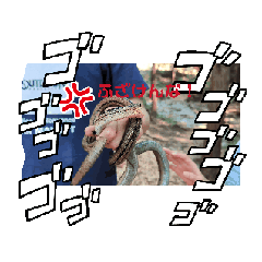 yunya_20240602115948