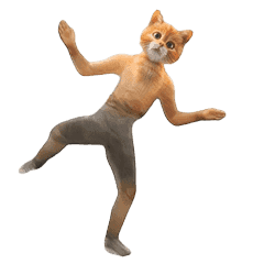 Let's Dance With Ginger Cat
