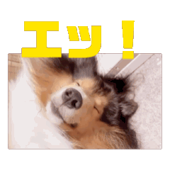 hito_20240602180333