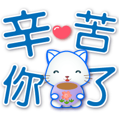 Cute white cat--practical for daily life