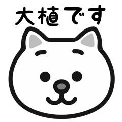 Ooue white cats stickers