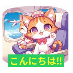 Greeting Cat on a Plane