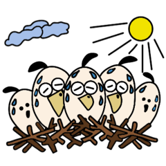 オホビ鳥の生活3