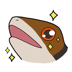 A blue-tongued skink courtship