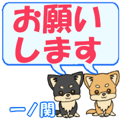 Ichinoseki's letters Chihuahua2
