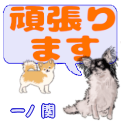 Ichinoseki's letters Chihuahua