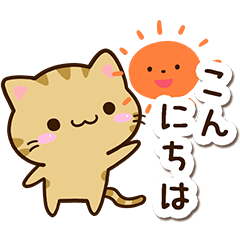 Small Kijitora cat5