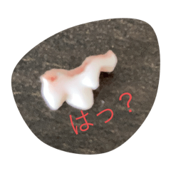 minekun_20240601185725