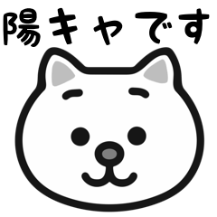 Youkya white cats stickers