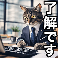 Daily Real Cat Meme Stamp