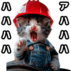 Kitten with red helmet