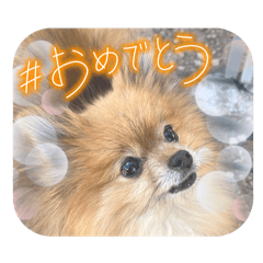 eririn_20240601191005