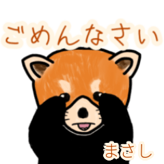 Masashi's lesser panda