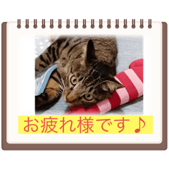 Kay_20240601202230