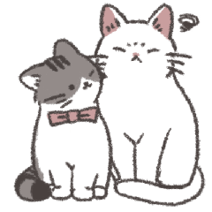 white cat and kijitora