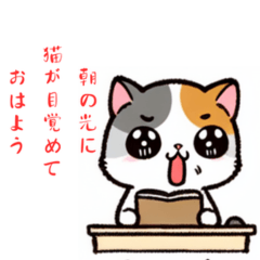 猫の日常あいさつ☆俳句