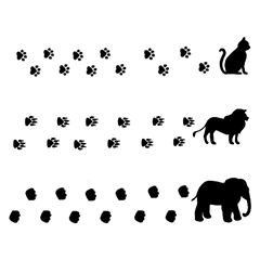 animal footprint 1