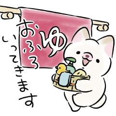 White Shiba Inu Dog <Daily life>