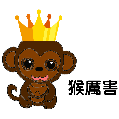 香港的猴子