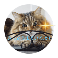 manoneko_20240601232602