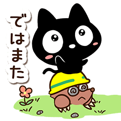 Very cute black cat138