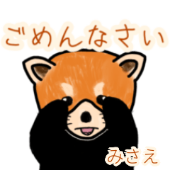 Misae's lesser panda
