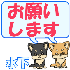 Mizushita's letters Chihuahua2
