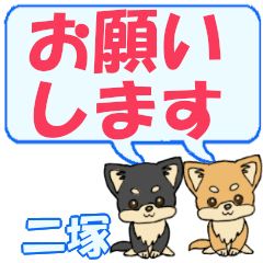 Futatsuka's letters Chihuahua2