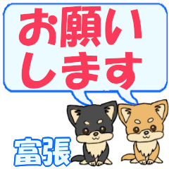 Tomihari's letters Chihuahua2