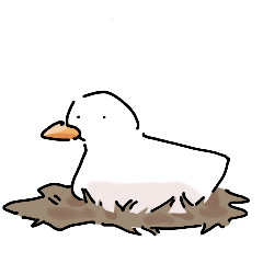 duckkk is a duck