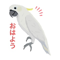 Flap‐Bird