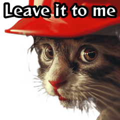 Kucing mengenakan helm merah