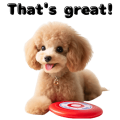 Happy message from a poodle (in English)