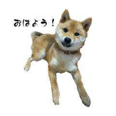 Tomoyamukun_20240602155051