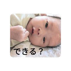 akanen_20240602174650
