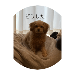 rui_20240602153201