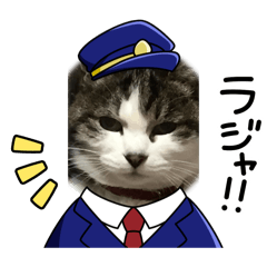 tanuki_20240602194700
