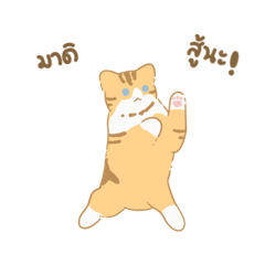 Orange Cat Ginger Cat