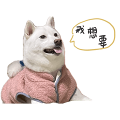 第二集