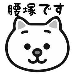 KoshiTsuka white cats stickers