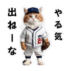Baseball   cat