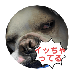 CREAM_20240602222632