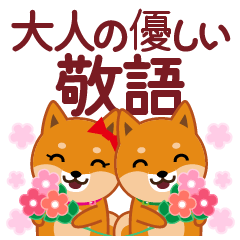 Shiba dog "MUSASHI"56 Polite speech