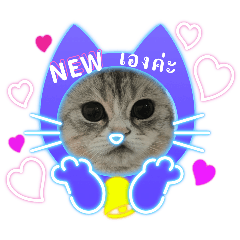 onnylexy_20240603235939